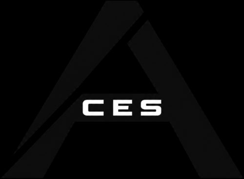 Team ACES