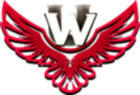 user-profile-image
